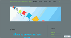 Desktop Screenshot of aboutplay.org
